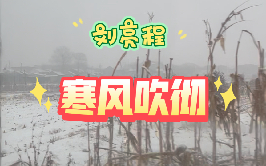 [图]村里下雪了，想到小时候，想到刘亮程寒风吹彻