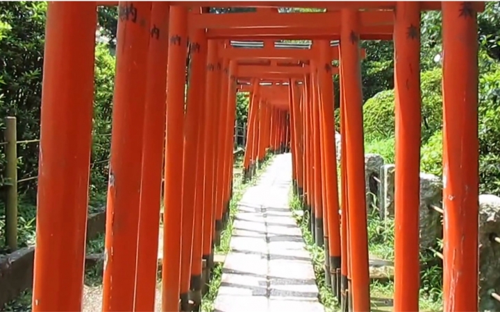 [图]根津神社 - 供奉狐狸大人的清新明净之地