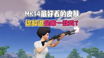 Download Video: mk14最好看的皮肤，你知道是哪一款吗？