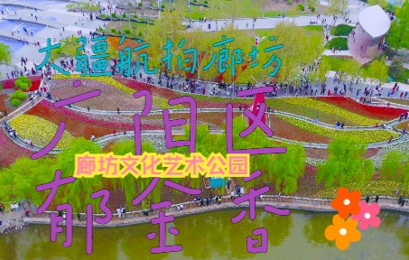 [图]大疆航拍廊坊艺术公园 赏郁金香花 春天的安静 陶醉