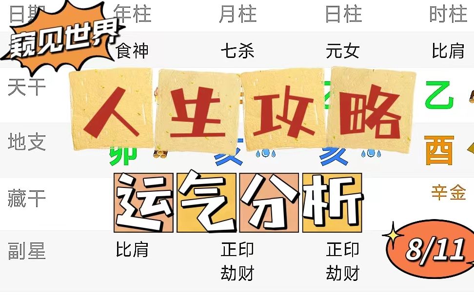 【八字案例粉丝E】八字实战系列运气分析(上) 08哔哩哔哩bilibili