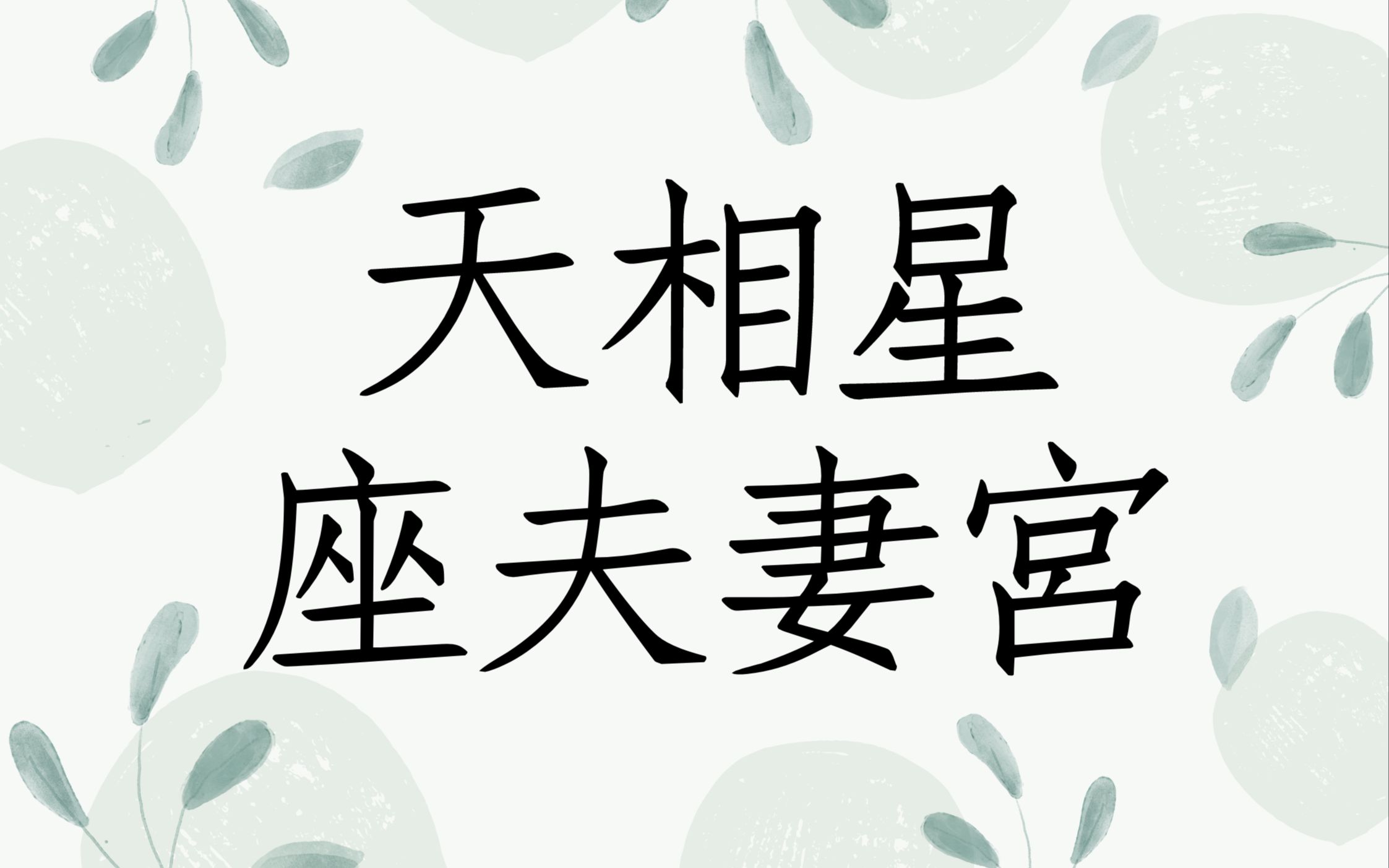 《紫微星宿案例分享》天相座夫妻宫我与另一半感情会如何哔哩哔哩bilibili