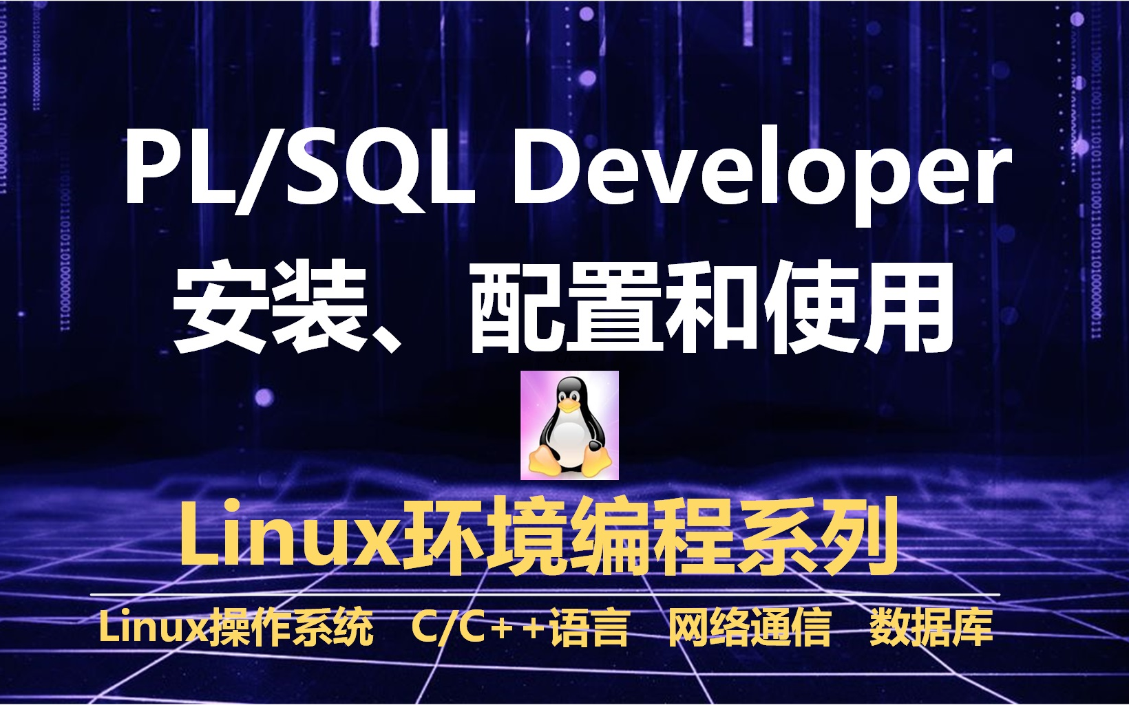 PL/SQL Developer的安装、配置和使用哔哩哔哩bilibili