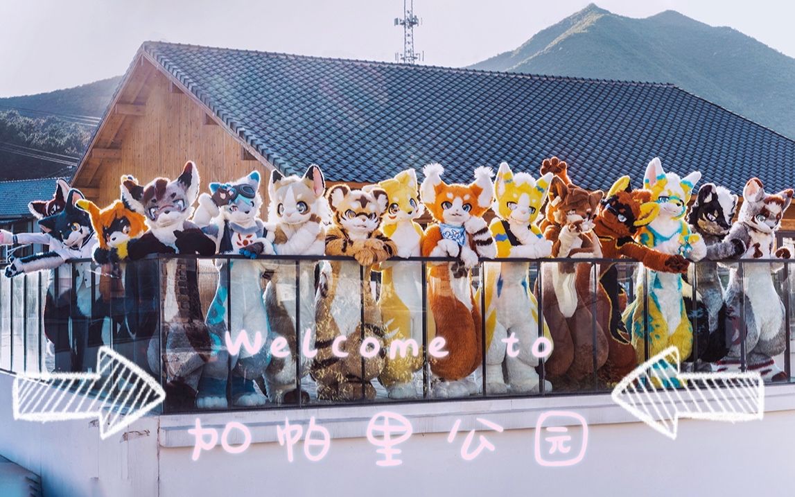 [图]【FursuitDance】加帕里公园 十五只毛绒绒大合舞