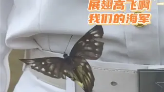 刚采访完，蝴蝶落在海军小姐姐身上