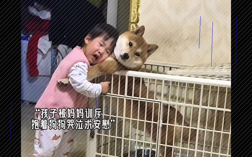 萌宠与宝贝的温馨治愈时刻h