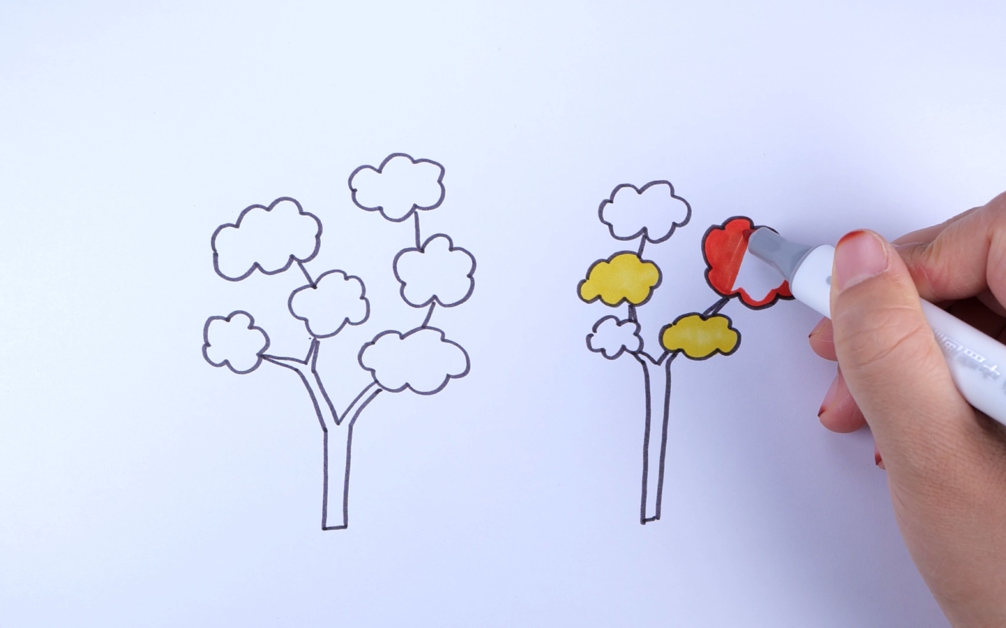 白桦树怎么画儿童图片