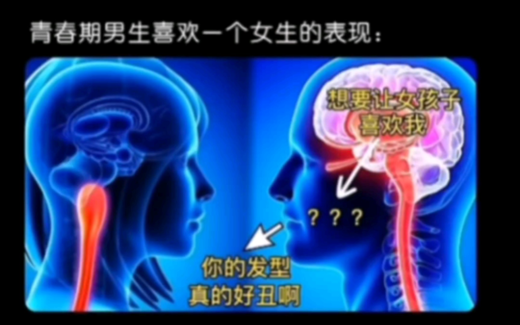 【网络离谱梗图】青春期男生喜欢一个女生的表现:你的发型好丑啊哔哩哔哩bilibili