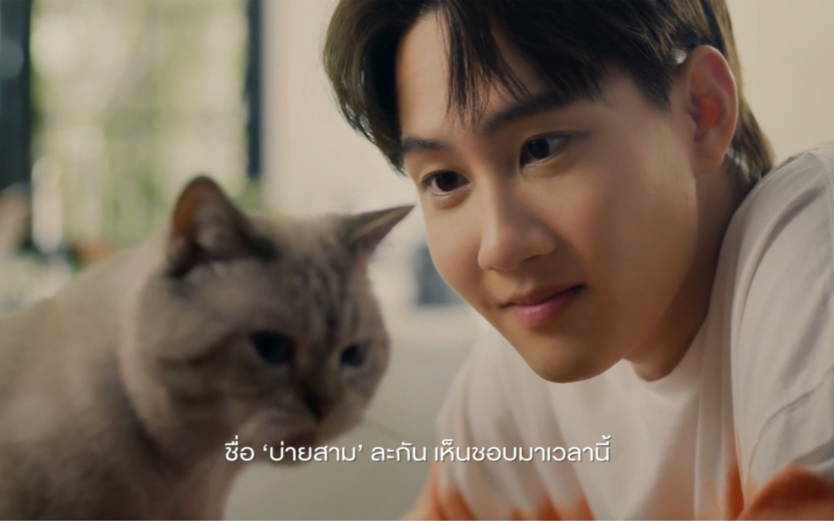 captain67船儿新歌mv22242226252920232369