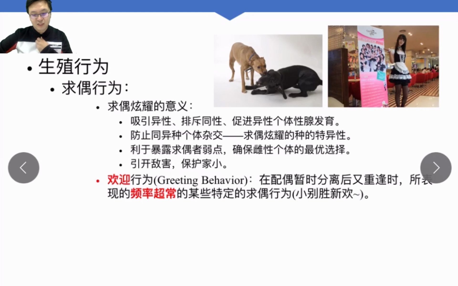 [图]动物行为精讲(下) Advanced version_Behavioral Ecology 08