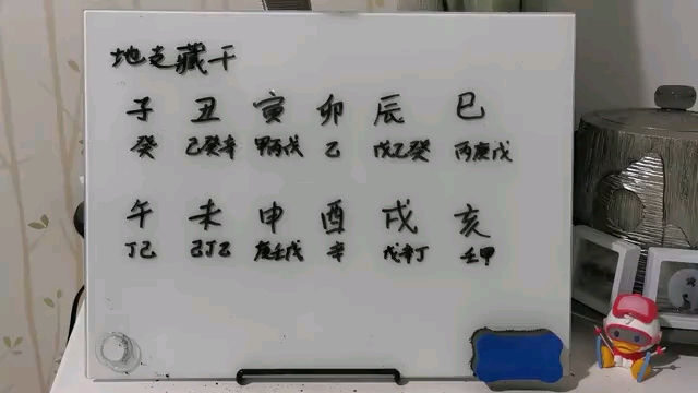 八字基础知识:十二地支藏干 分分钟让你记住哔哩哔哩bilibili