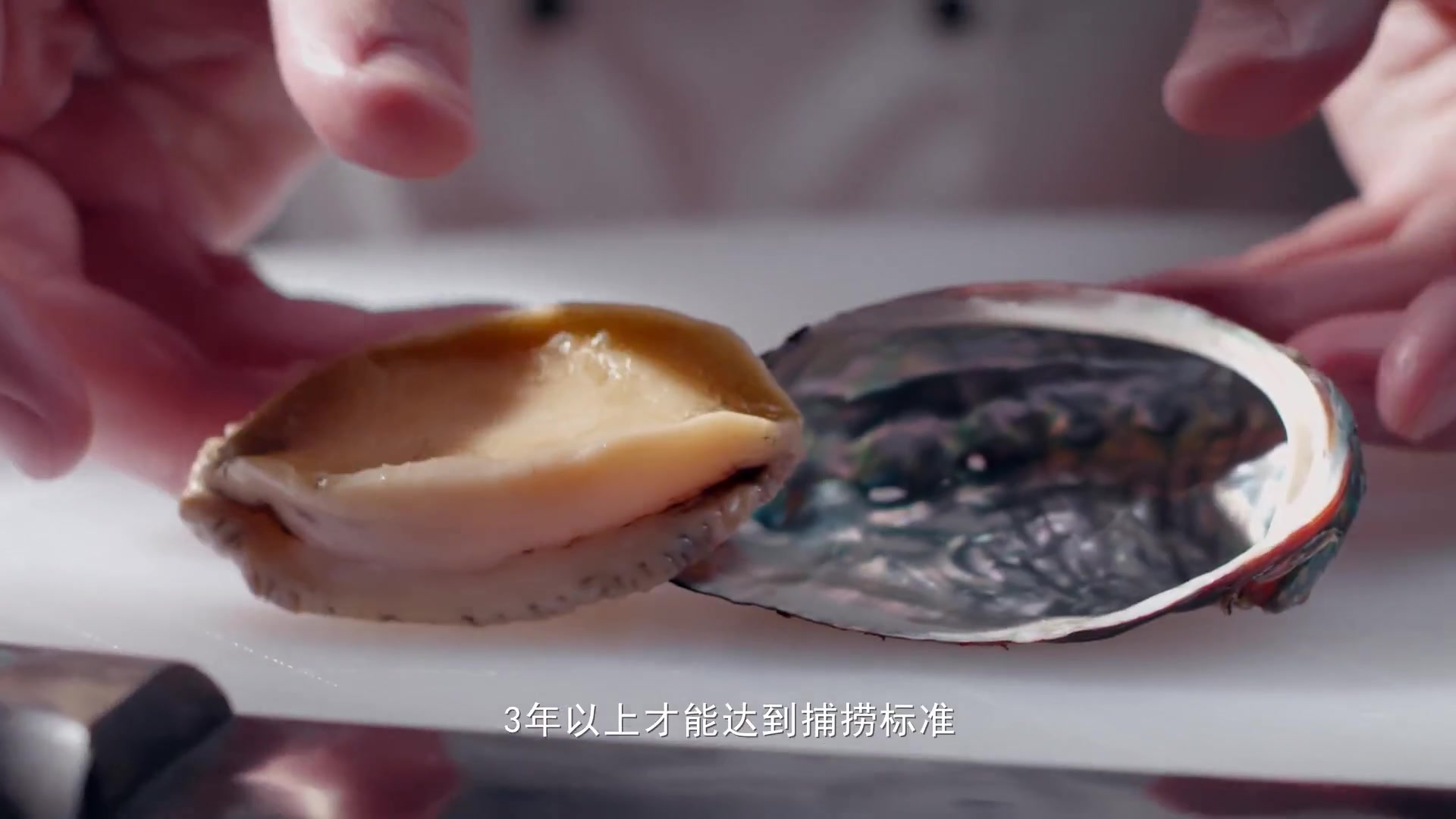 美食纪录片开动吧海鲜全24集1080p超清