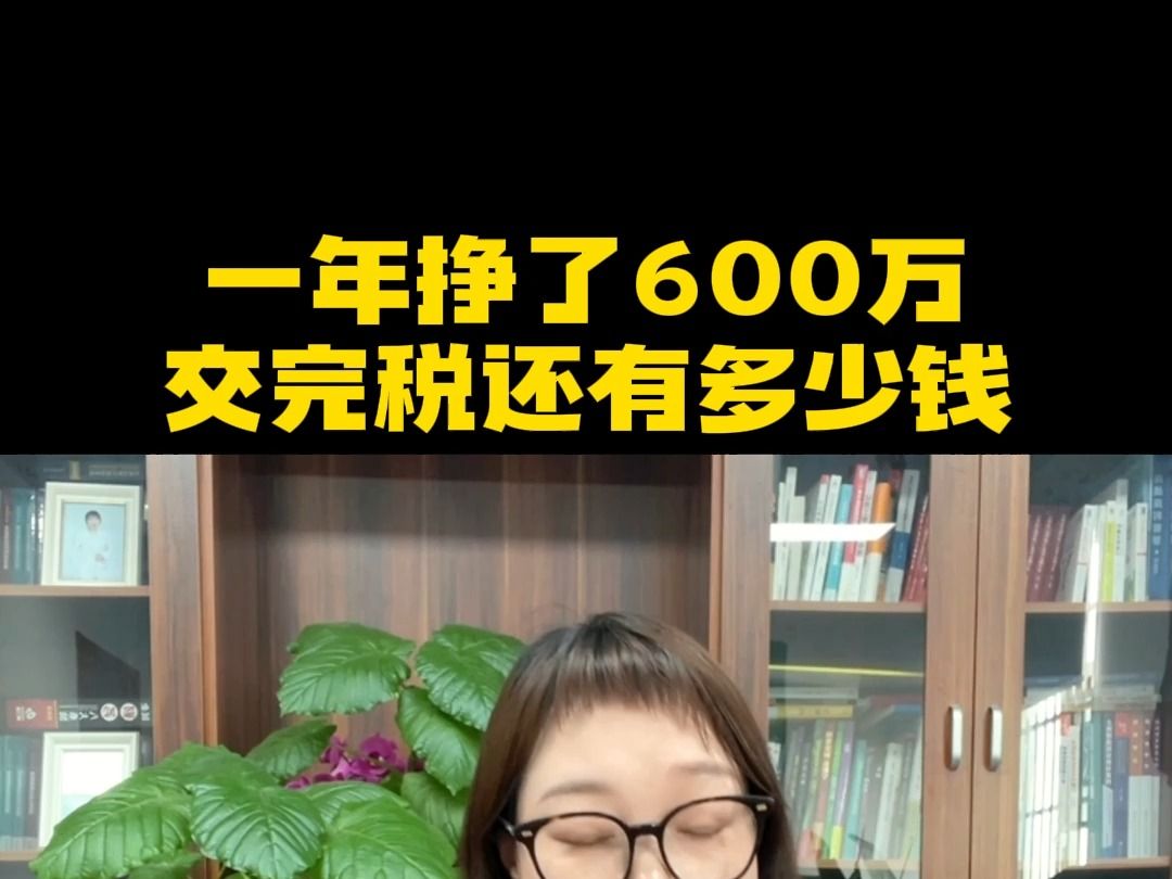 一年挣了600万交完税还有多少钱?哔哩哔哩bilibili