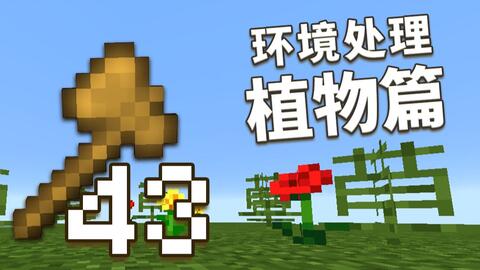 创世神的64把木斧 43 草 生了出来 环境处理操作 植物 视频实况 Minecraft 我的世界 中文论坛 手机版 Powered By Discuz