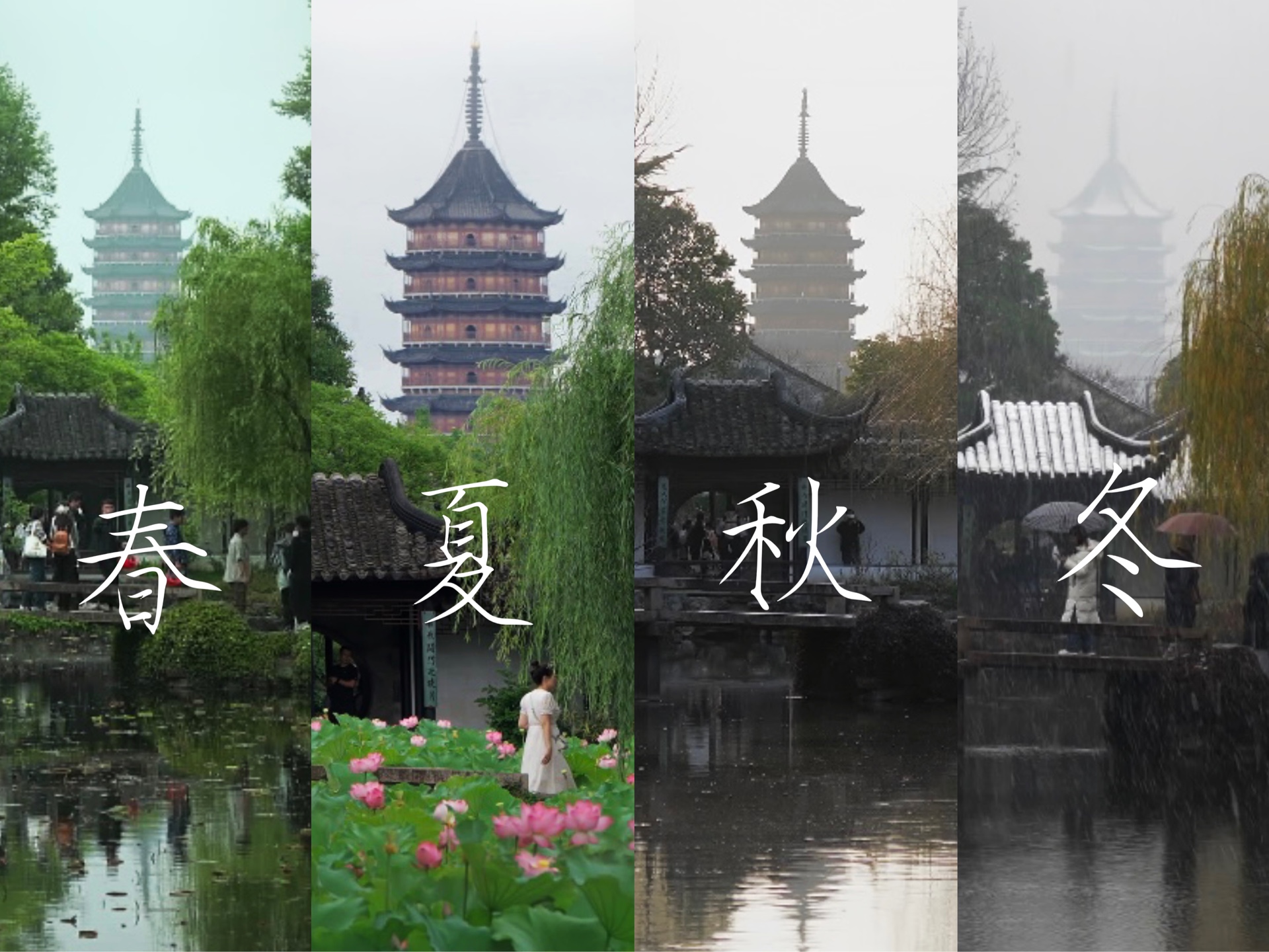 终于凑齐了拙政园借景的春夏秋冬.