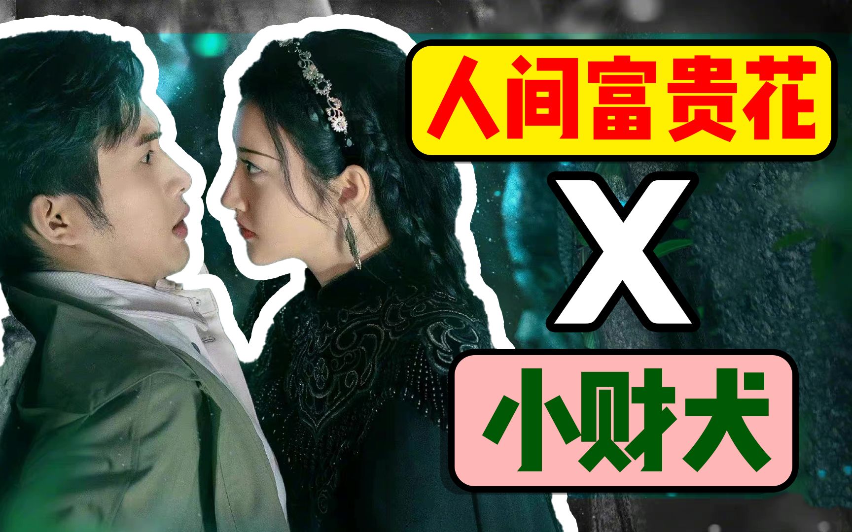 司藤豆瓣79分虚高吗人间富贵花x小财犬就问你香不香