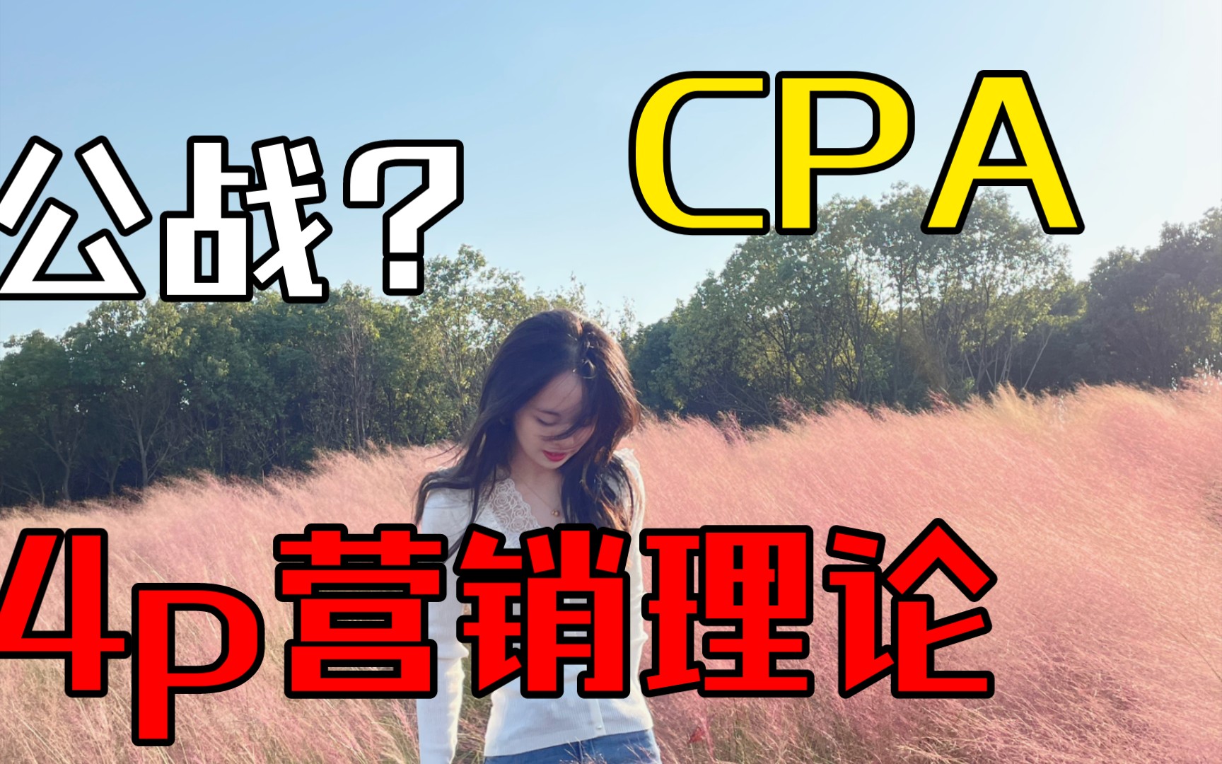 CPA~公司战略与风险管理~4P理论哔哩哔哩bilibili