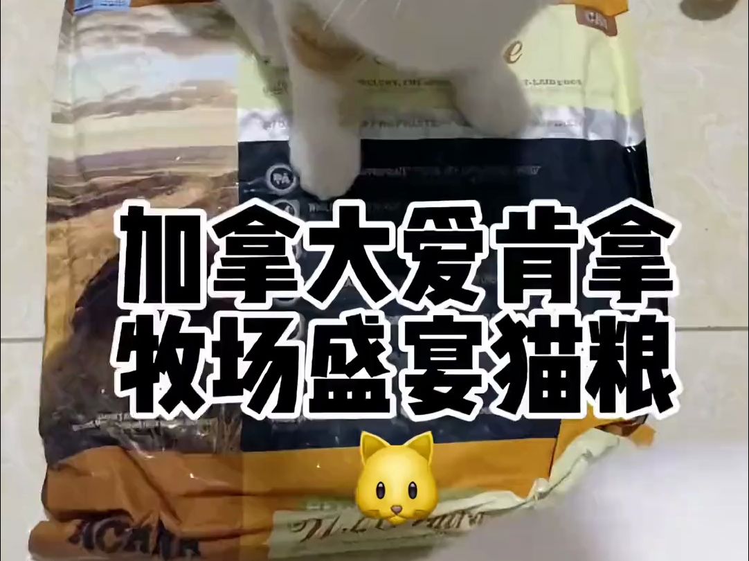 没有小猫咪可以拒绝的美味~爱肯拿猫粮哔哩哔哩bilibili