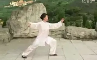 杨氏太极拳85式 哔哩哔哩 Bilibili