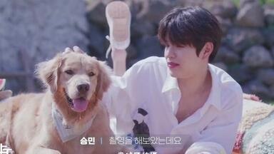 随机中字】230908 Stray Kids 金昇玟直播全场中字_哔哩哔哩_bilibili