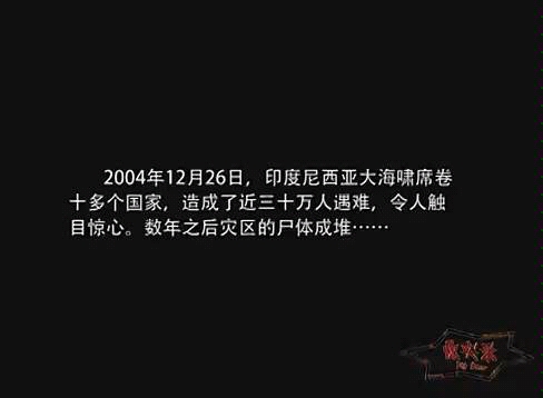 [图]海水顷刻间吞噬城市-04年印度洋海啸纪实视频