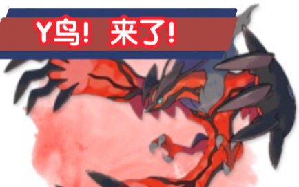 「口袋觉醒」y鸟实战(测试服)