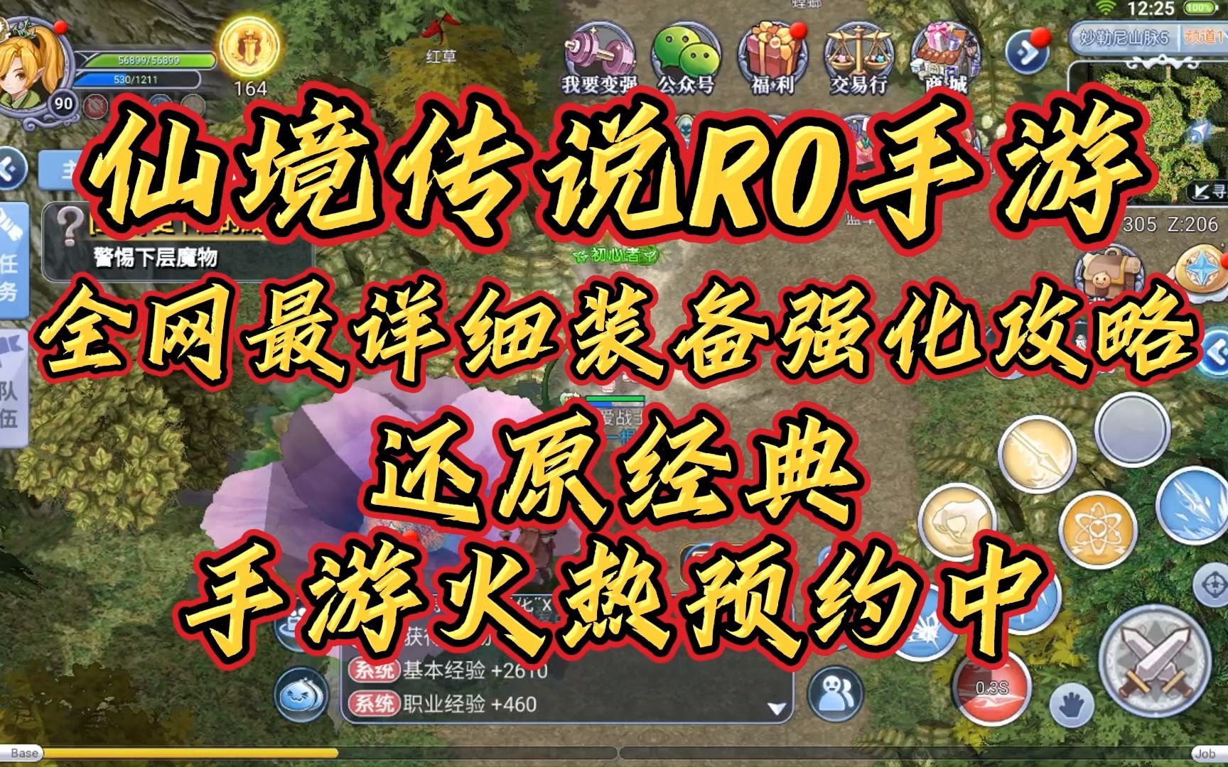 仙境传说RO手游:全网最详细装备强化攻略,手游火热预约中哔哩哔哩bilibili