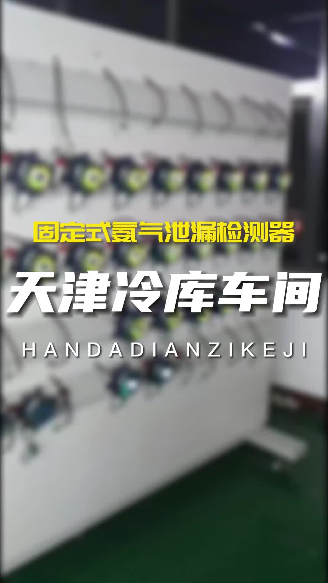 天津某冷库采购总线固定式氨气泄漏检测器,监测氨气微量浓度,B证现场安全哔哩哔哩bilibili