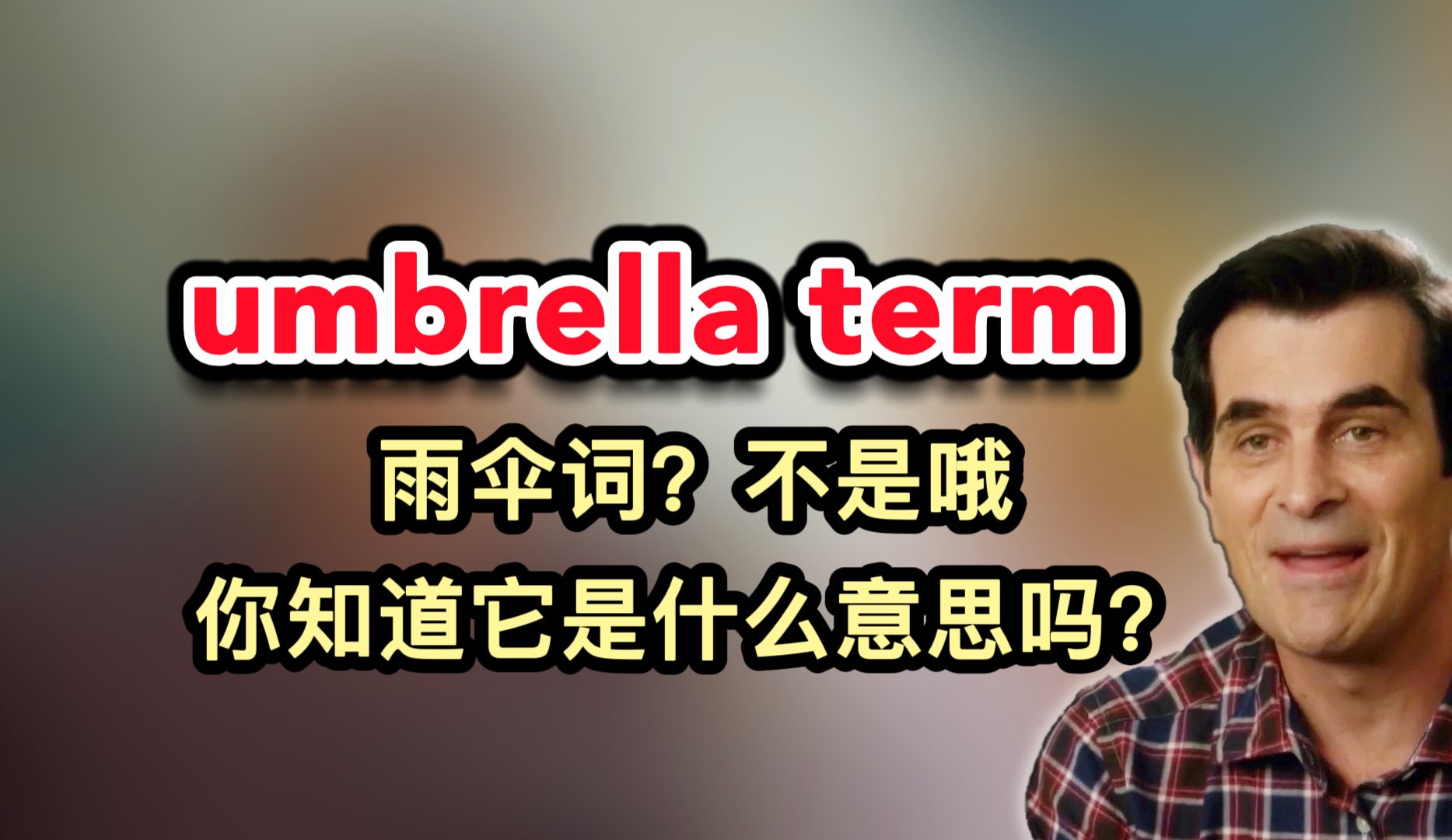 umbrella term,雨伞词?不是哦.你知道它是什么意思吗?哔哩哔哩bilibili