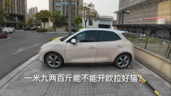 一米九两百斤能开欧拉好猫吗？