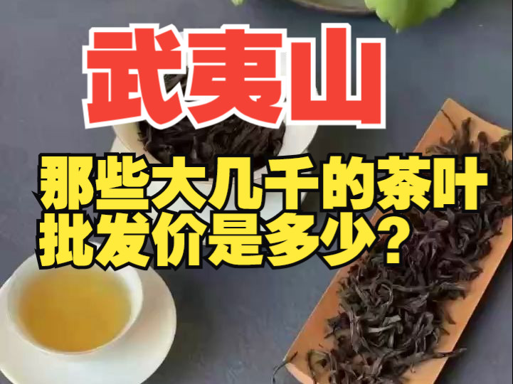 武夷山那些大几千的茶叶,批发价是多少?哔哩哔哩bilibili