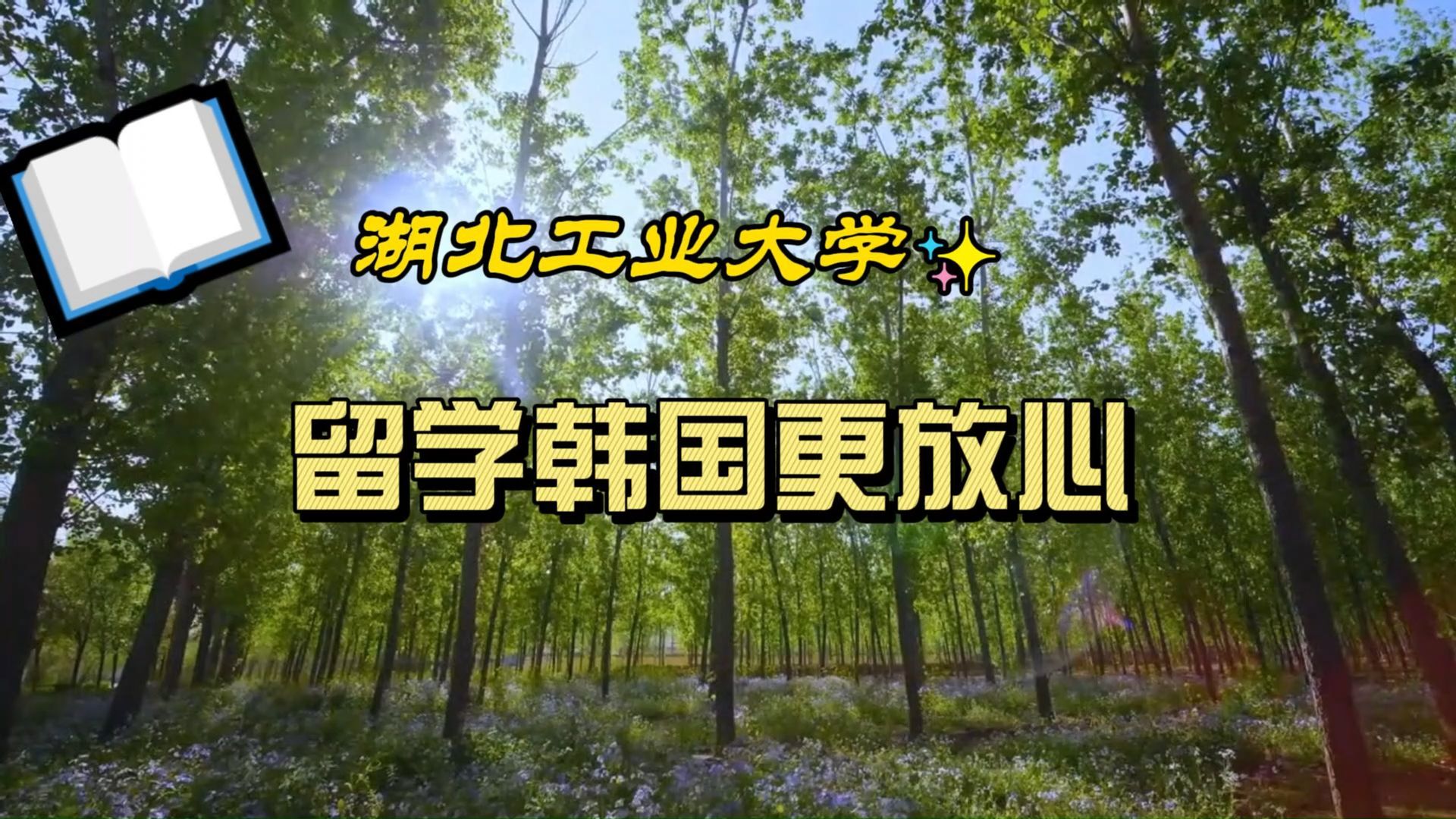 留学2+2
