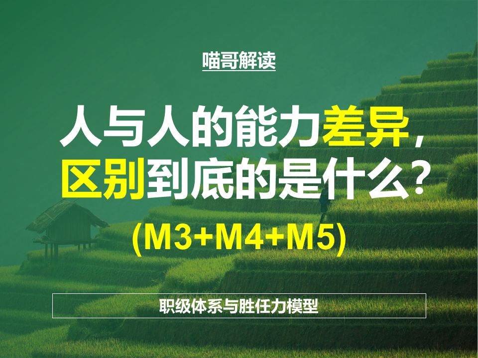 职级体系与胜任力标准管理篇——M3+M4+M5哔哩哔哩bilibili