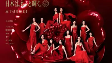 Tsubaki Factoty-哔哩哔哩_Bilibili