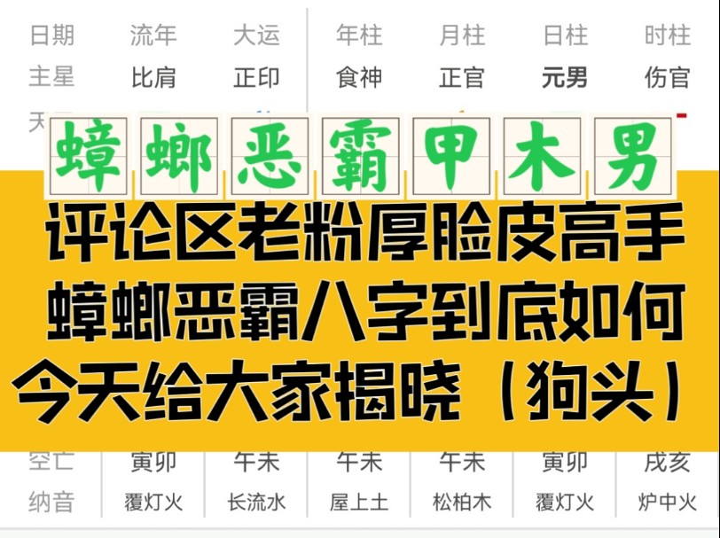 性格决定命运!评论区老灌水员!蟑螂恶霸的八字哔哩哔哩bilibili