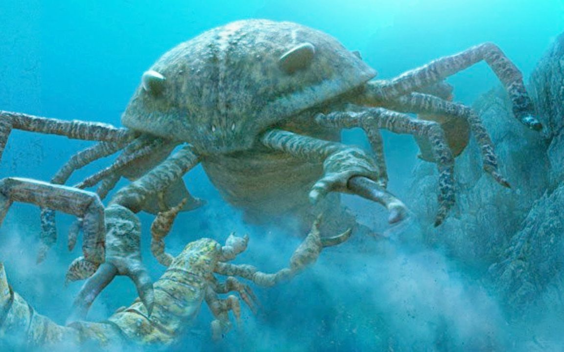 《史前巨兽》志留纪中最恐怖的海洋巨蝎翼肢鲎的故事!