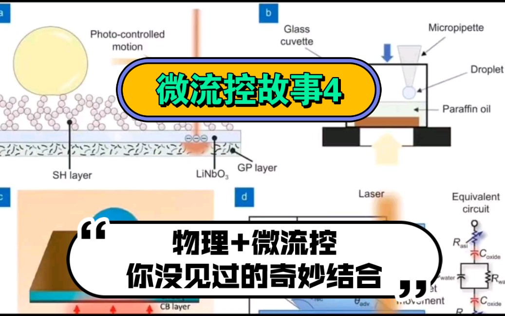 微流控芯片的故事4液滴微流控芯片在物理学领域中的应用解析哔哩哔哩bilibili