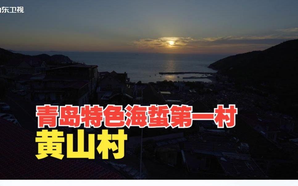 特色海蜇第一村—青岛黄山村哔哩哔哩bilibili