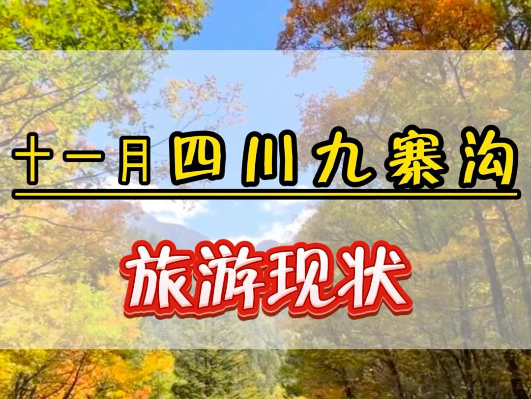 11月份来四川九寨沟旅游状况,看完我这个视频您在决定来不来.#九寨沟旅游攻略 #四川旅游攻略 #乐山大佛 #都江堰哔哩哔哩bilibili