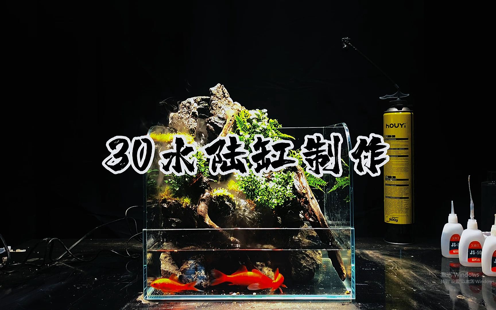 [图]水族鱼缸造景 30cm水陆缸制作 把自然带回家！