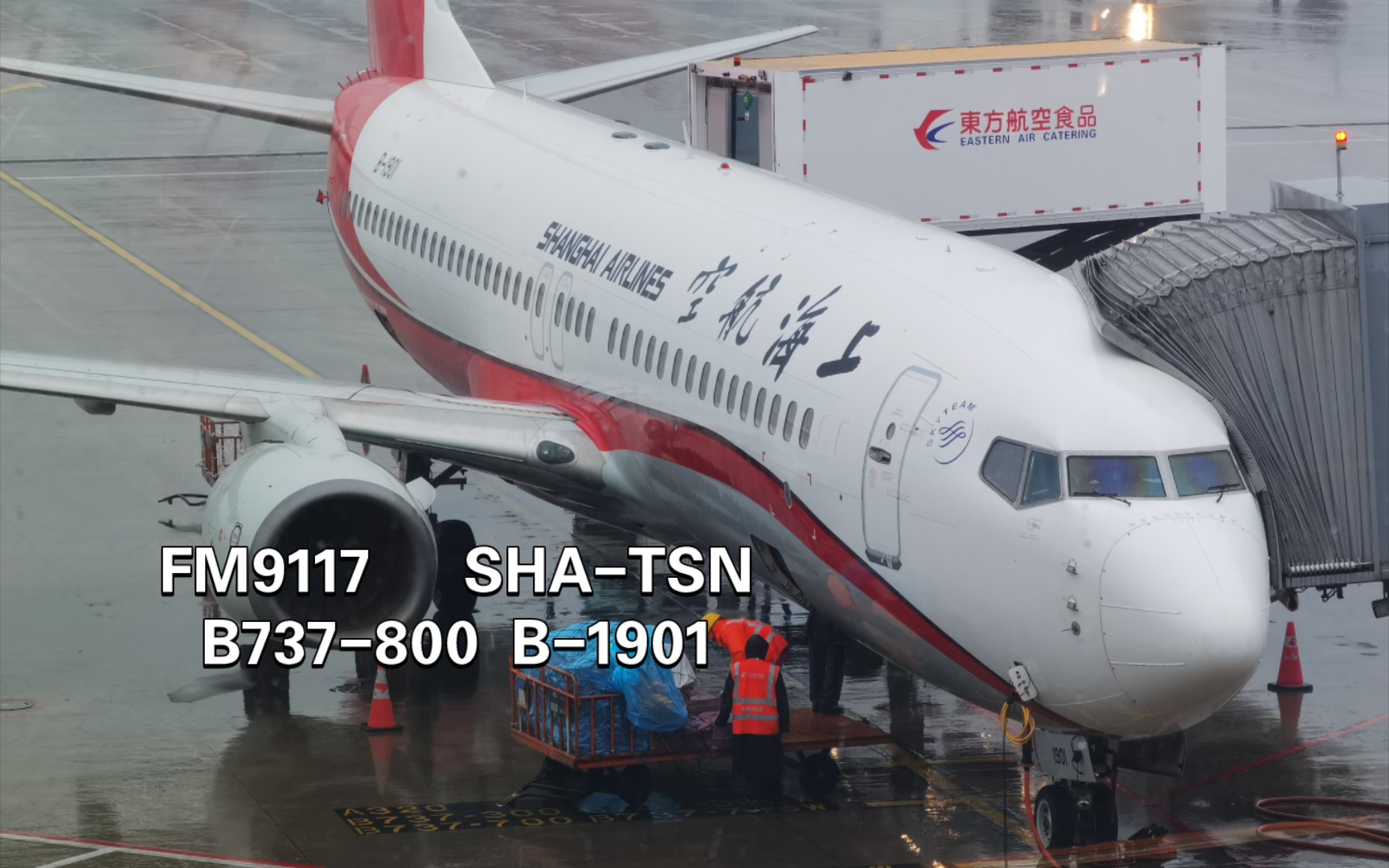上海航空fm9176座位图图片