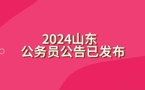 2024年山东公务员岗位及进面分数线哔哩哔哩bilibili