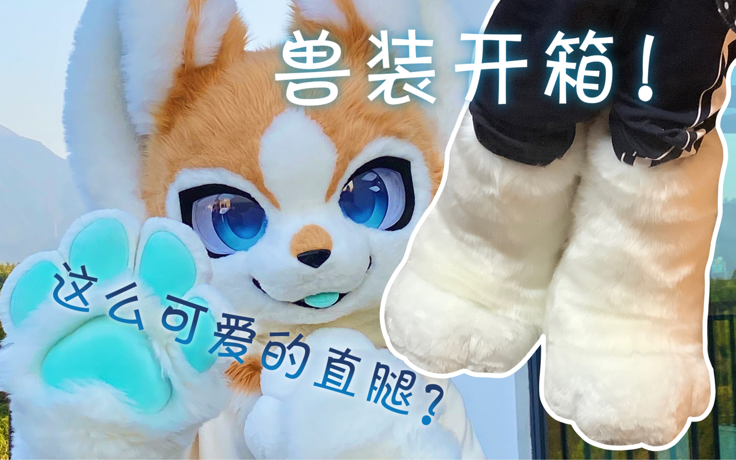 拯救大头儿子的方法居然是…可爱到犯规了  兽装fursuit开箱