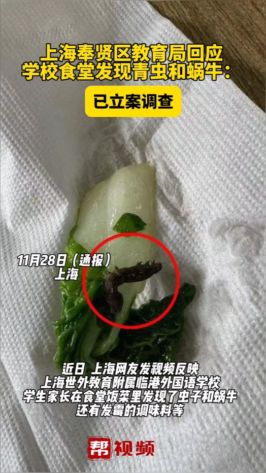 上海奉贤区教育局回应学校食堂发现青虫和蜗牛:已立案调查哔哩哔哩bilibili