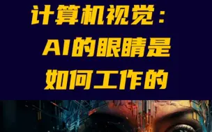 下载视频: 计算机视觉：AI的眼睛是如何工作的#物联网平台研发#AI#AI做短视频#人工智能#计算机视觉