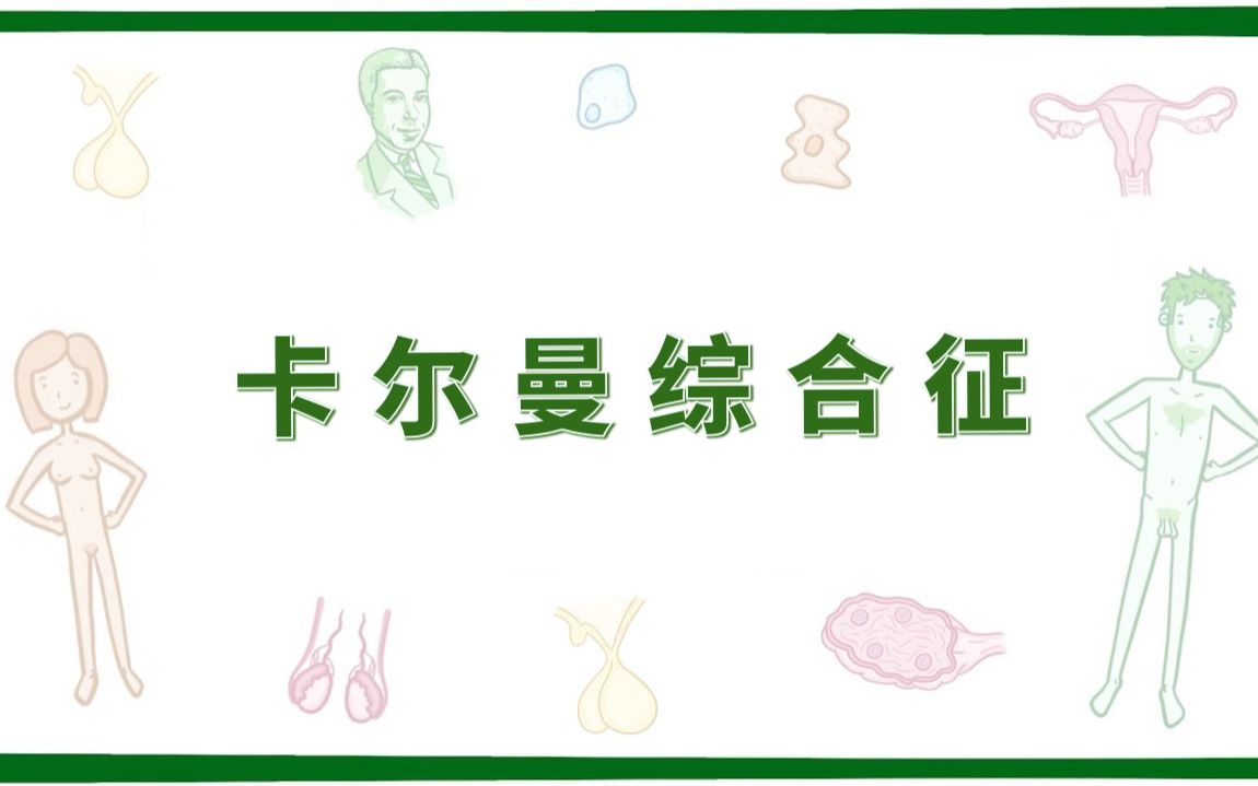 预习卡尔曼综合征kallmannsyndrome中英字幕