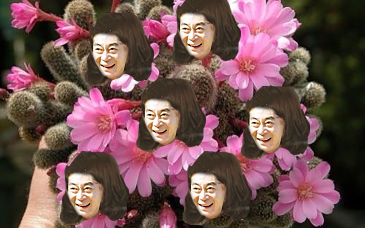 【六小龄童】开花循环