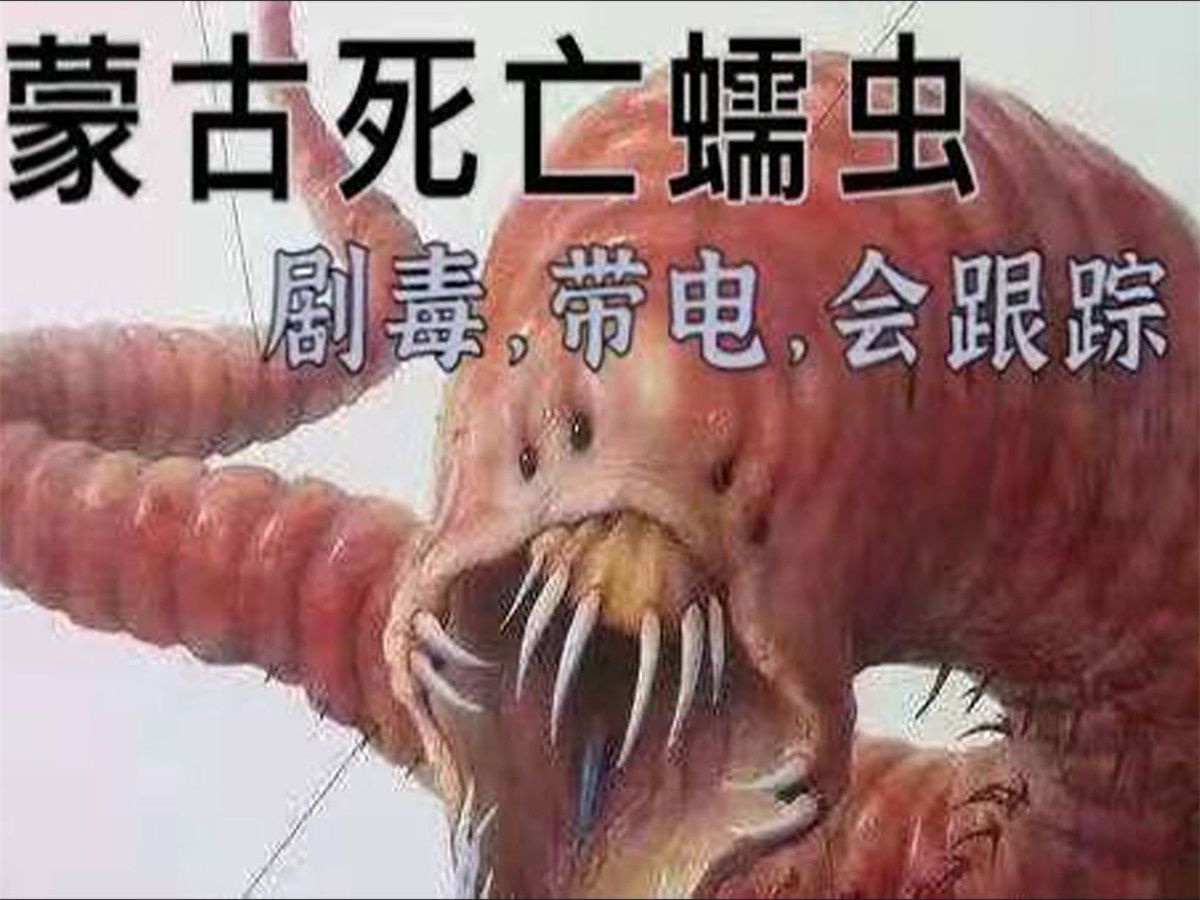 蒙古秘密传说死亡蠕虫终极守护成吉思汗陵寻找者无一善终