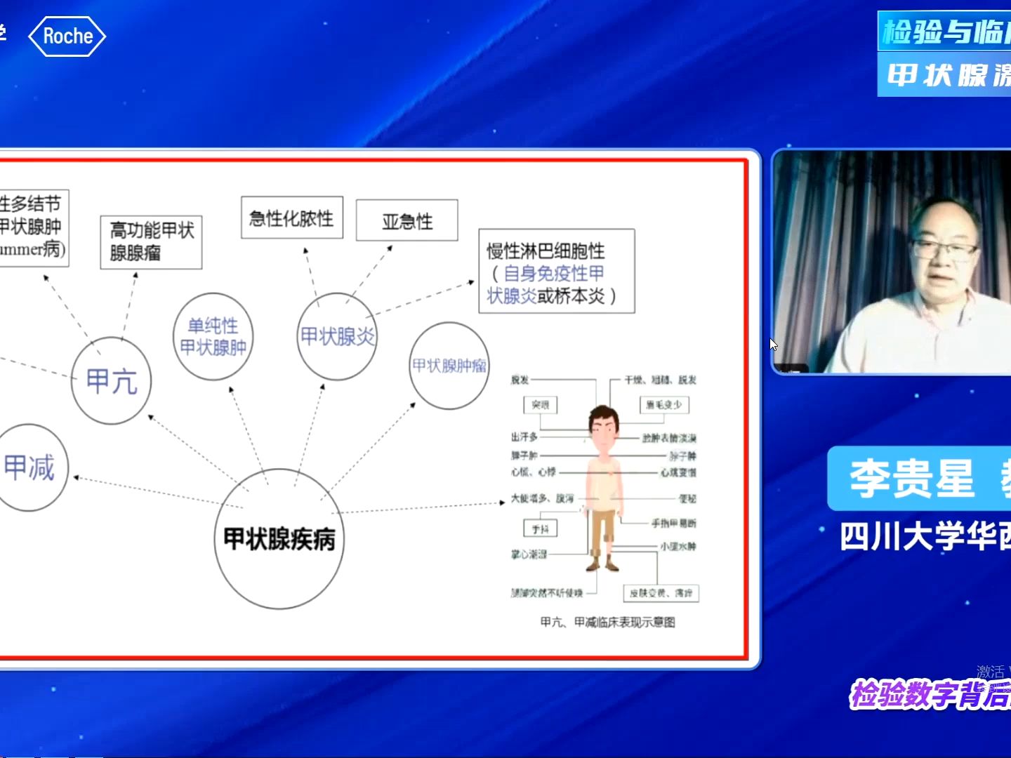 李贵星,甲状腺激素疾病篇(二)哔哩哔哩bilibili