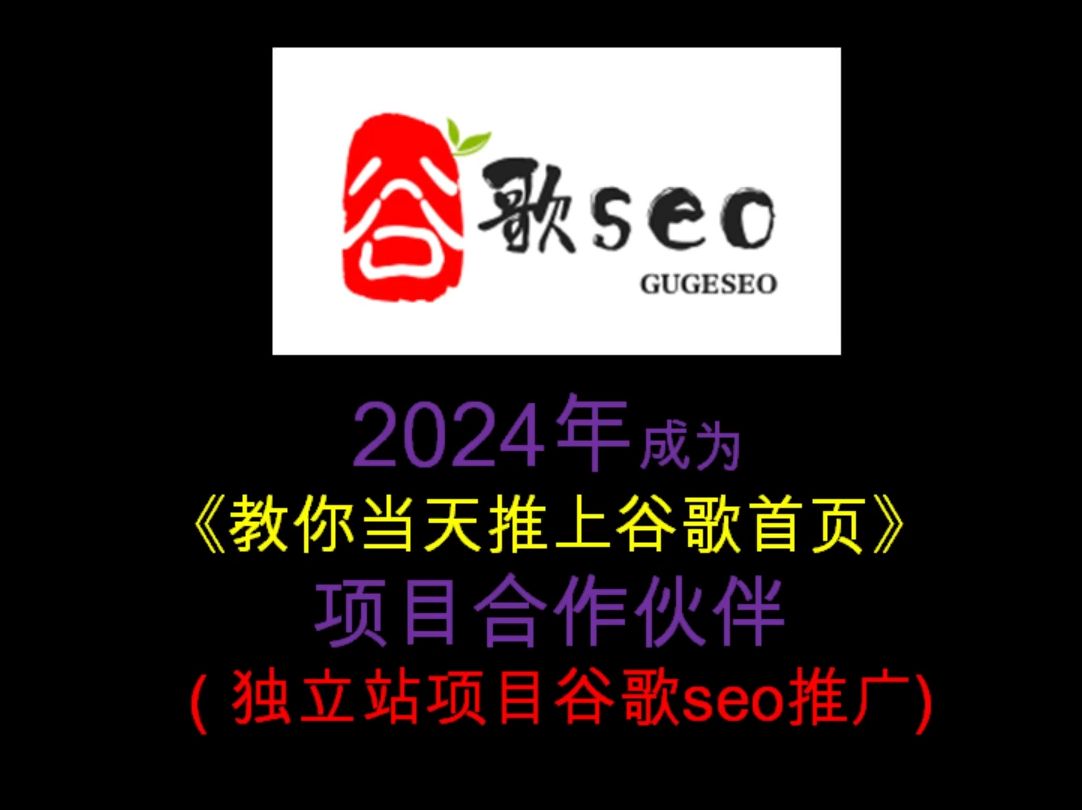 2024年,成为《教你当天推上谷歌首页》项目合伙人17哔哩哔哩bilibili